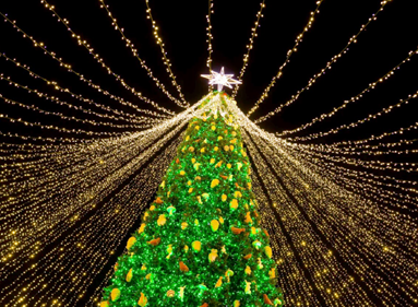 Okładka "Magazynu Lokalnego Korony Sądeckiej"